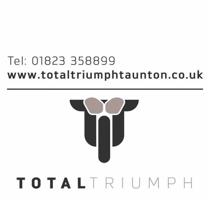 Triumph Tiger 1200 Rally Explorer